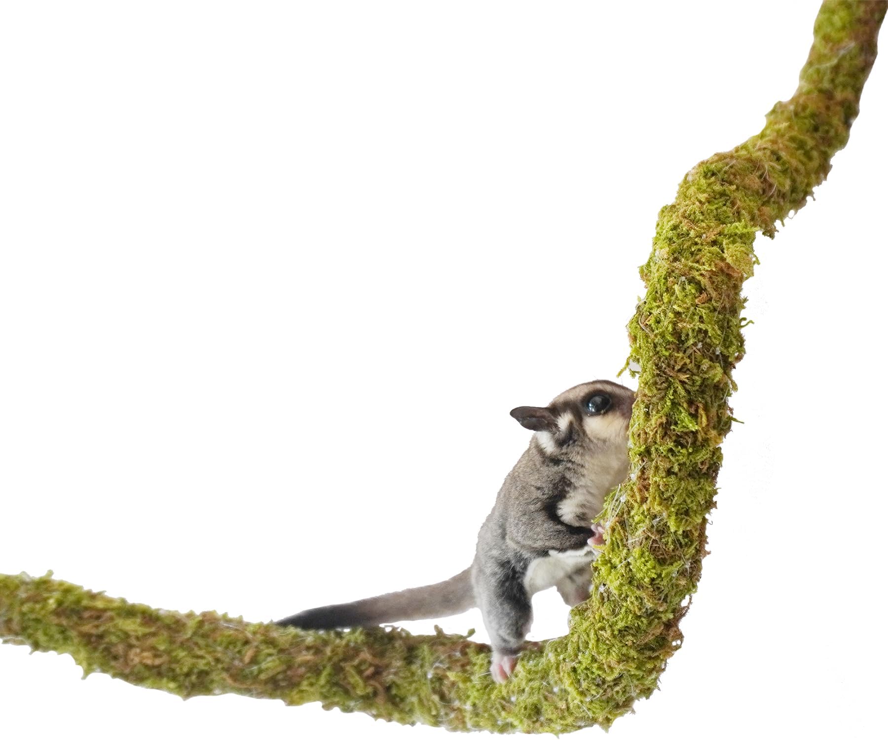 25 Inch Bendable Sugar Glider Climbing Toys, Ideal Sugar Glider Cage Accessories