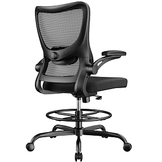 Marsail 2D Lumbar Chair