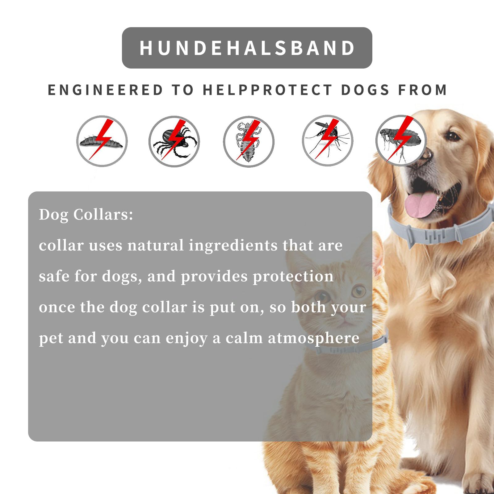 Cura Animali Domestici Set 2 Collari Per Cani Impermeabili | 63 Cm Regolabili | Con Oli Essenziali Naturali | Comfort E Protezione Collari Regolabili Impermeabili Oli Essenziali - 6