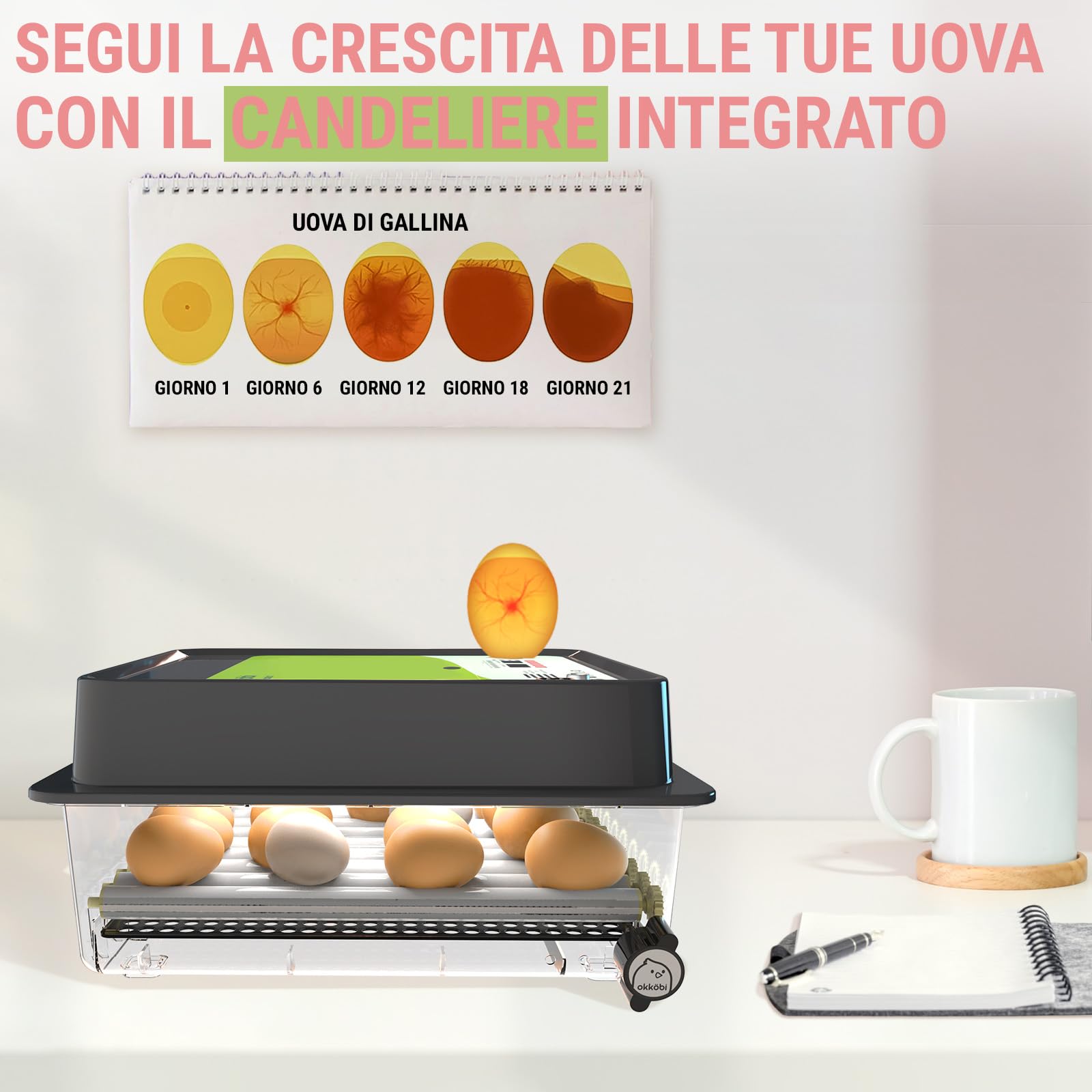 OBI-36 Incubatrice 36 uova per galline, papere e altri + NUOVE 2024 + Rotazione automatica + Controllo Temperatura + Indicatore Umidità + Candela per uova integrata + GARANZIA 5 ANNI