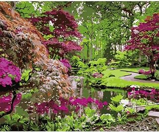 Lsdakoop Zestaw do malowania według liczb do chłodnicy "zrób to sam", obraz olejny od Numbers, zestaw dla dorosłych, dla początkujących, dzieci, 16 x 50 cali