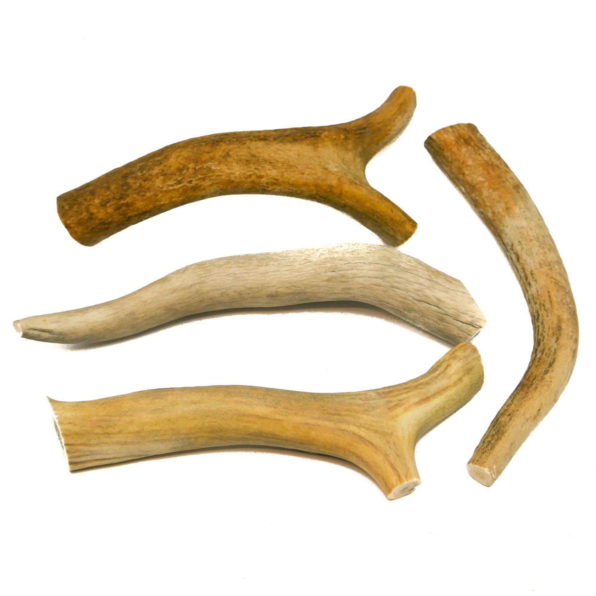 RF-Deer Asta de Ciervo Natural, Decoración Única, Juguete para Perros, Juguete de Masticar, Seguro para Perros, La Subasta Incluye la Venta de 1 kg (10-20 cm, 7-12 Piezas)