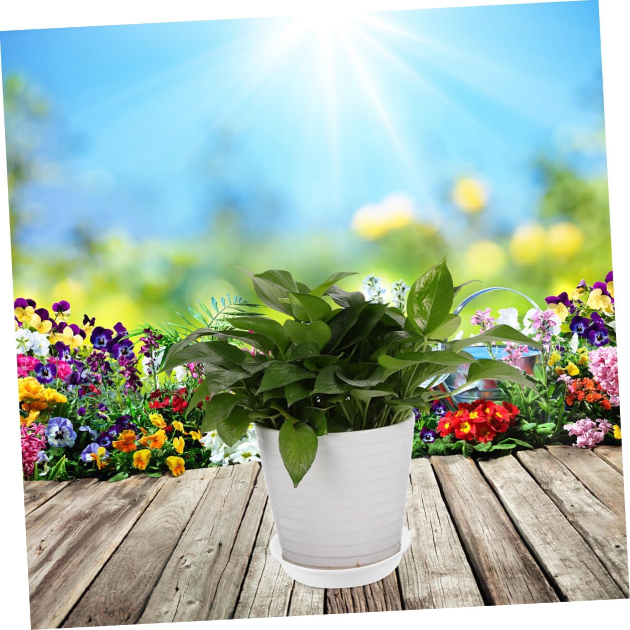 VICASKY 30pcs Round Plant Tray Flower Pot Saucer for Use Water Drainage Base for Bonsai and Potted Plants Outer