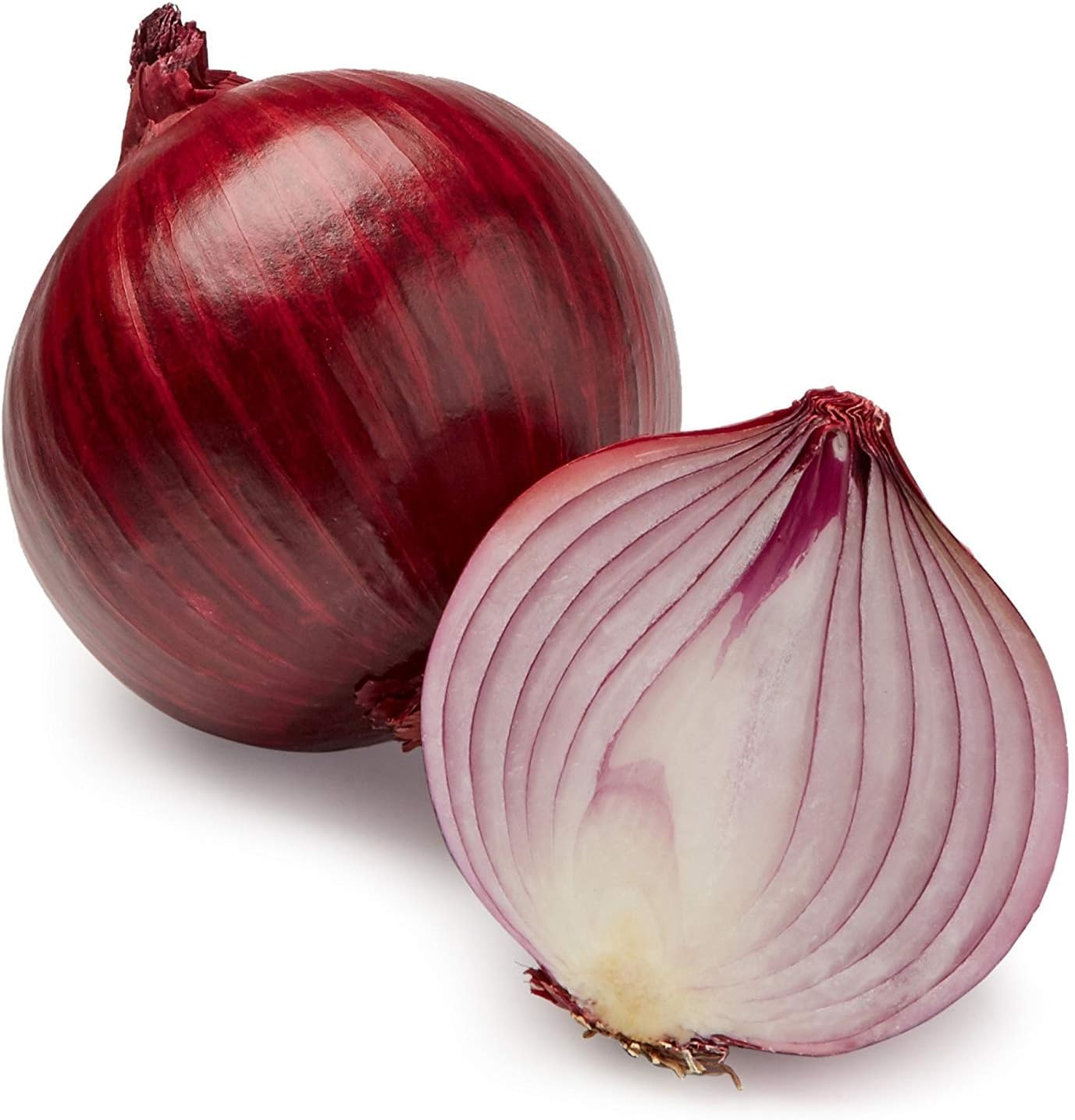 Audbhidhi Onion Seeds For Planting Gardening Pack of 50 Seeds