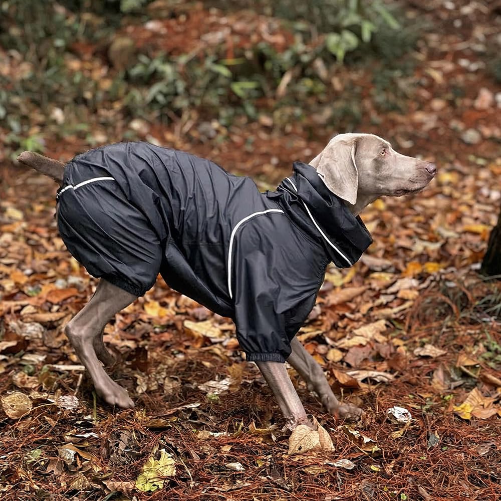 Coupe-Vent Léger pour Chien, Manteau avec Jambes, à Capuche, Trou pour Laisse, Réfléchissant, Compactable (Noir Charbon, M)