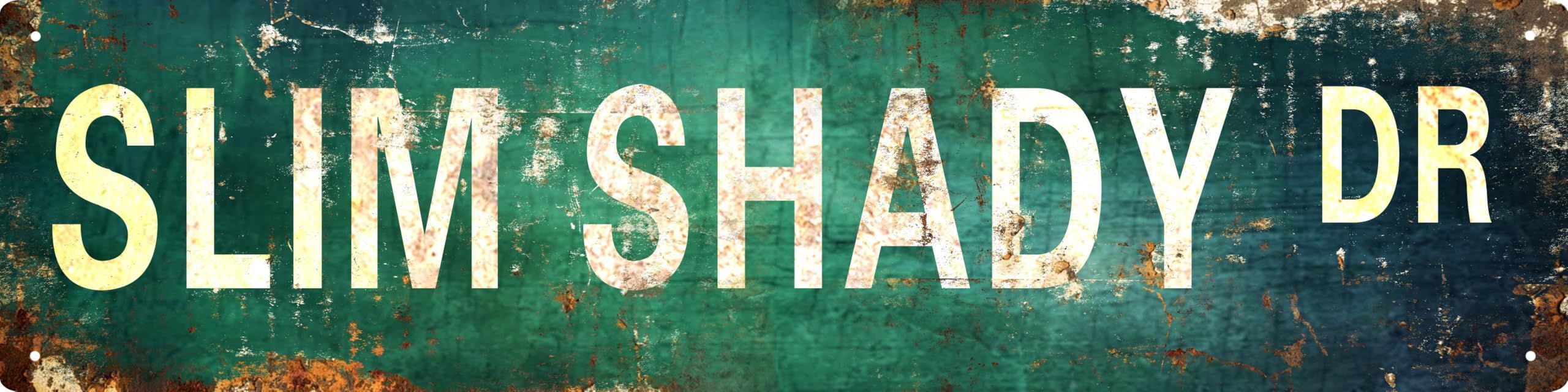 AWISZZZ Vintage Metal Tin Sign Retro Slim Shady Dr Signs Stylish Wall Art Plaques for Home Decor Bathroom Kitchen House and Gothic Wall Decor or as a Unique Poster 16x4 in