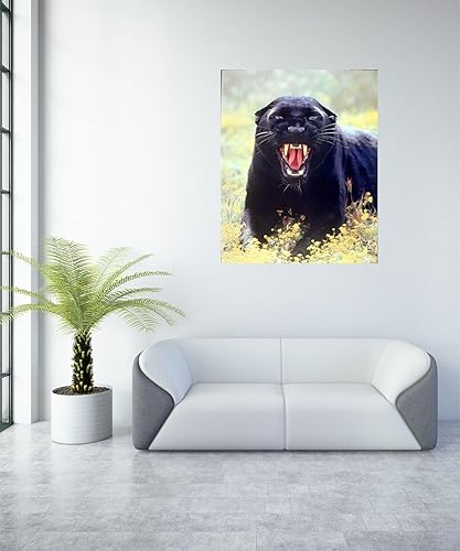 Miniatura 6 de Póster artístico para decoración de pared, diseño de animales salvajes, pantera negra (leopardo) (16 x 20 pulgadas)