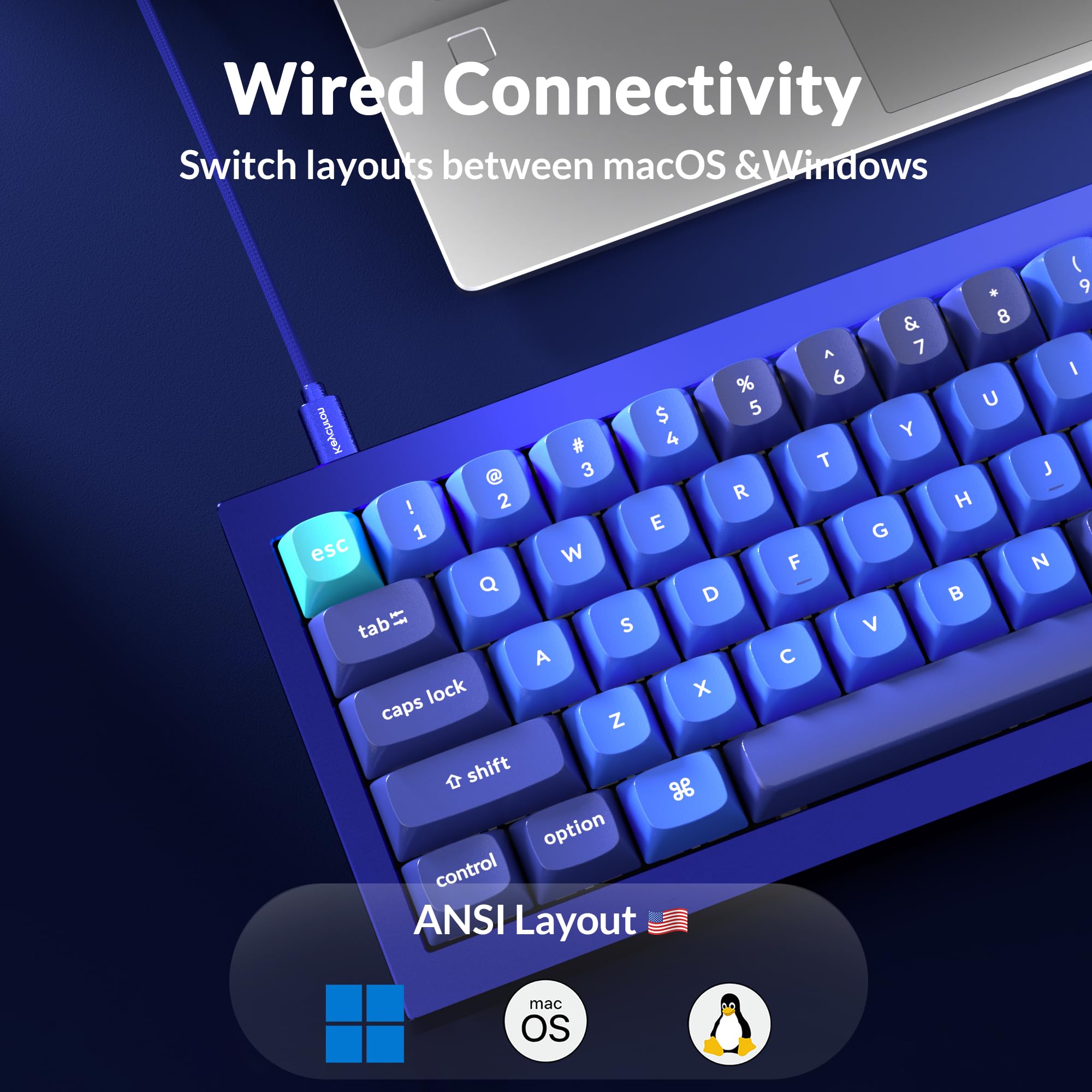 Amazon.co.jp: Keychron Q4 有線カスタムメカニカルキーボード 60