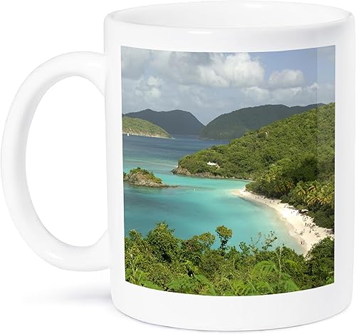 3dRose mug_70005_2 "USVI, St. John, Trunk Bay, Islas Vírgenes NP-CA37 CMI0147 - Cindy Miller Hopkins" - Taza de cerámica, 15 onzas, multicolor