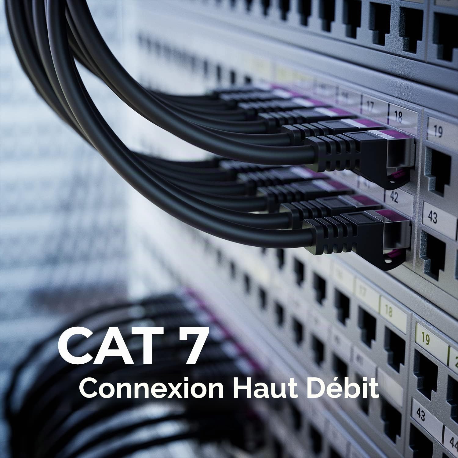 deleyCON 40m CAT7 Outdoor Câble Réseau pour Extérieur (10 Gbit/s, S/FTP Blindage, Cuivre) RJ45 Connecteur Ethernet LAN Câble Patch - Résistant Intempéries - pour Caméras, PoE, Camping etc.