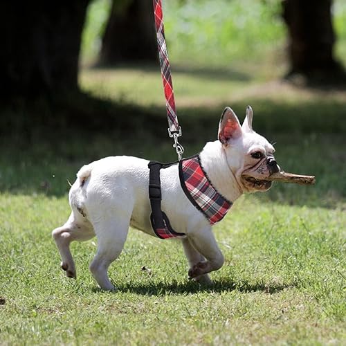 Miniatura 256 de Pupteck - Arnés para perro, chaleco de malla suave con relleno cómodo para cachorros, perros y gatos, evita los tirones, color negro y blanco