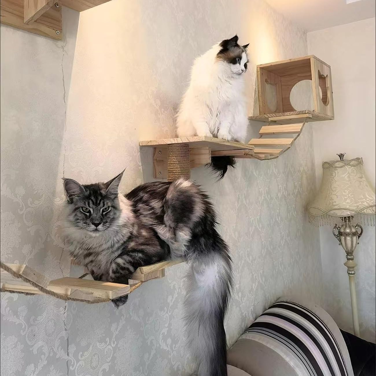 Mensole da parete per gatti, mobili in legno per gatti con condominio, tiragraffi, gradini e ponte, per parco giochi fai da te