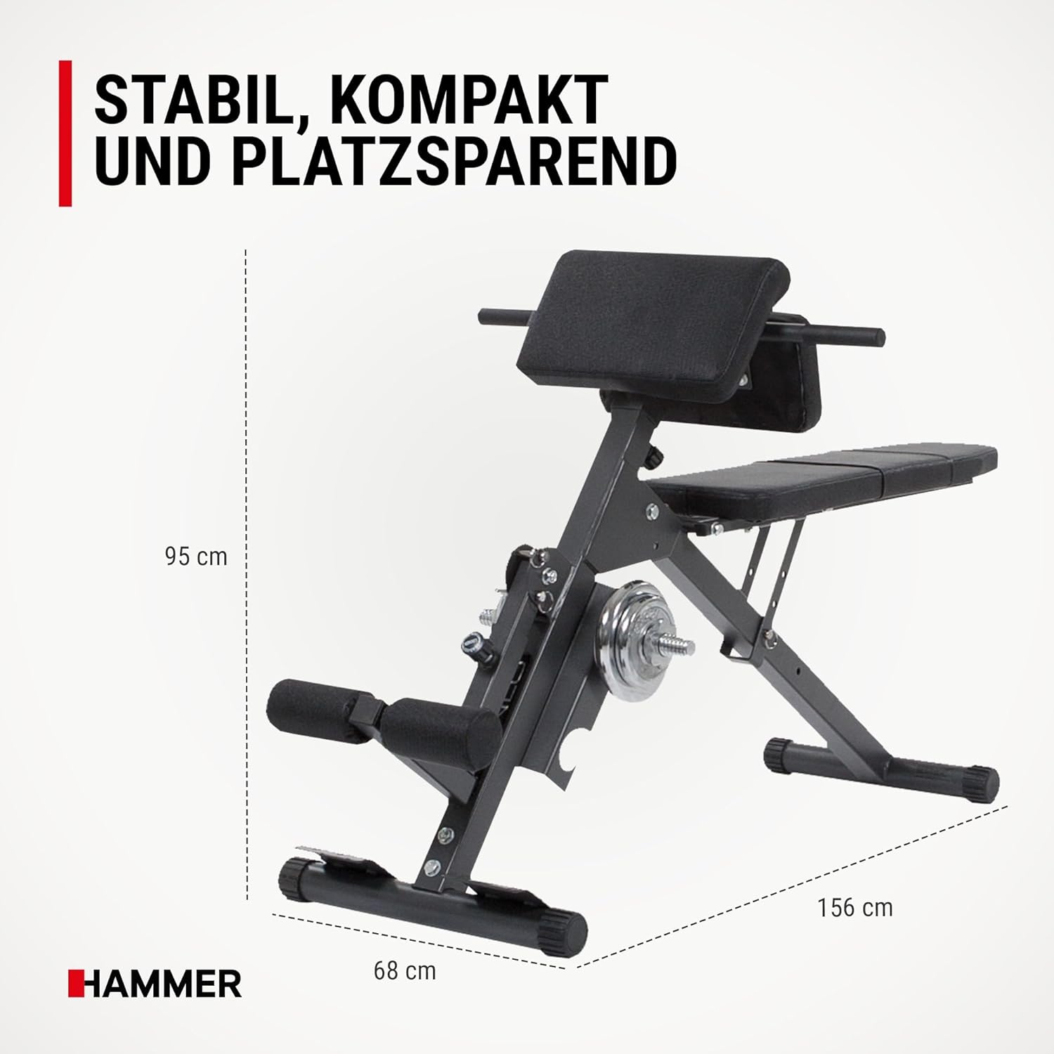 Finnlo 3864 Abs and Back Trainer
