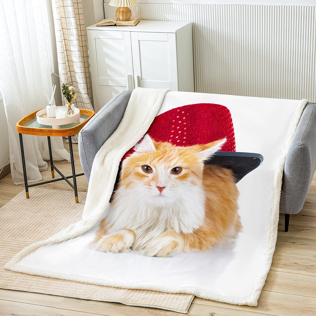 Couverture chaton floue pour canapé propre et sans poils de chat