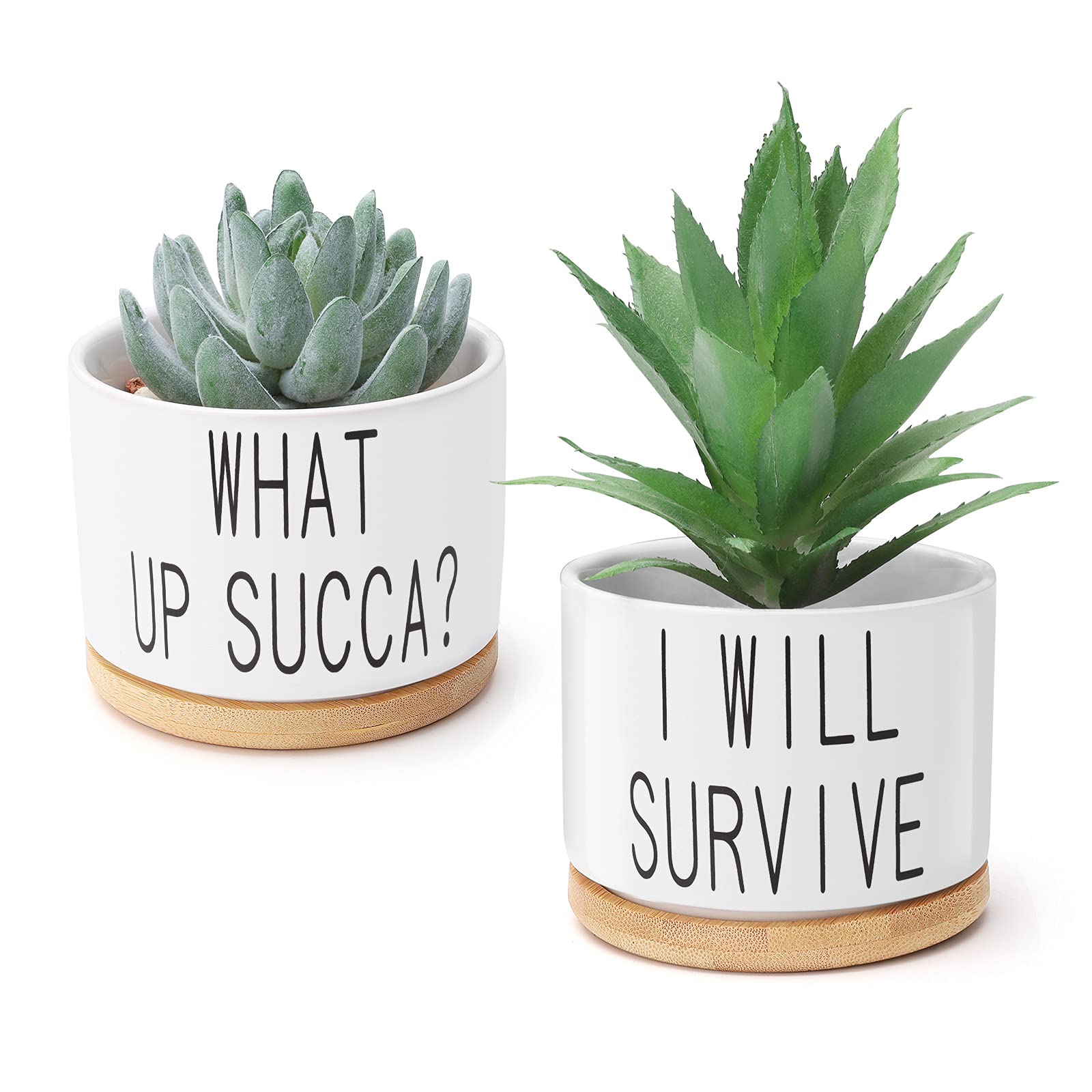 Ceramic Plant Pot,Meiyaa Set of 2 White 3.6 inch Ceramic Succulent Flower Planter Pot with Bamboo Tray for Succulent and Herb Plant Indoor or Outdoor Decoration (Plant not included) (C)