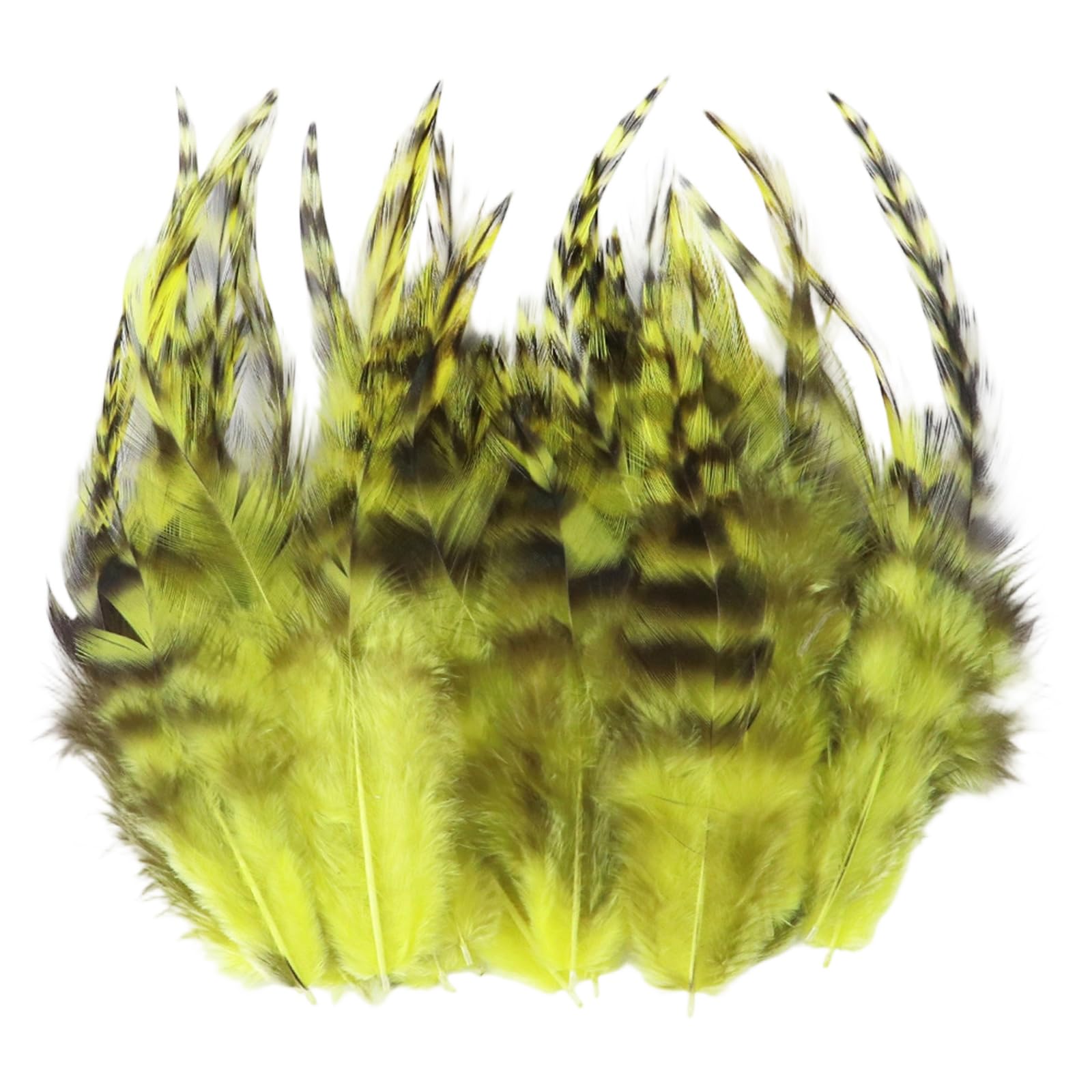 Yjcnelcr 100Pcs Pheasant Plumage Ideal for Art and Costume Decoration Stage Execution Quills