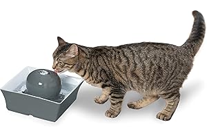 Drinkwell Ceramic Pet Fountain: Ultimate Hydration for Your Furry Friends