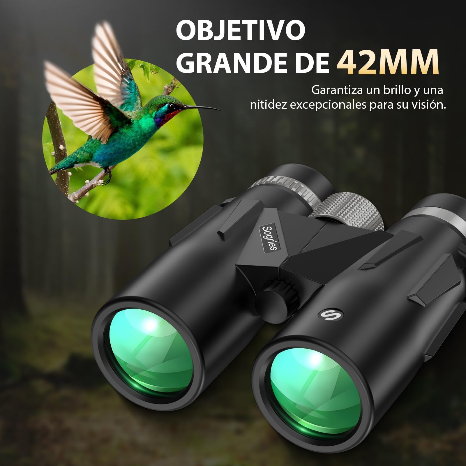 Prismáticos 12x42 Profesionales – Binoculares Pequeños y Potentes, BAK-4 FMC Alta Definición, con Adaptador para Móvil y Trípode, Impermeables y Antiniebla para Observación de Aves y Senderismo | BAK4, FMC, impermeable, a prueba de niebla, de alta potenci