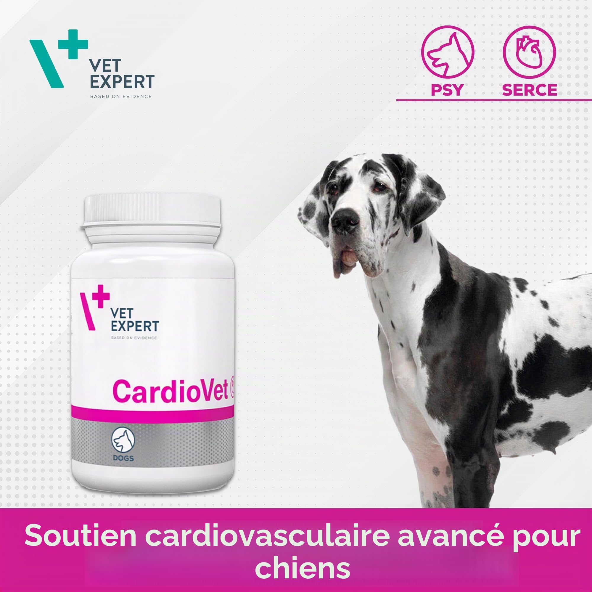 VetExpert CardioVet | 90 comprimés | Alimentation complémentaire diététique pour Chiens | en Cas d'insuffisance myocardique Due à Une cardiomyopathie dilatée et d'insuffisance mitrale