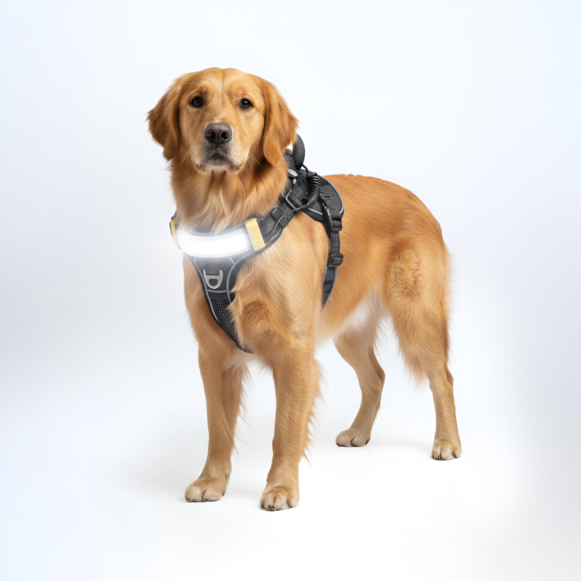 Lumi One LED-Hundegeschirr für Nachtsichtbarkeit und Sicherheit, zum Patent angemeldet - Warnweste mit 1000 Lumen LED, wiederaufladbarer Akku, verstellbare Passform, reflektierender Rand (Schwarz