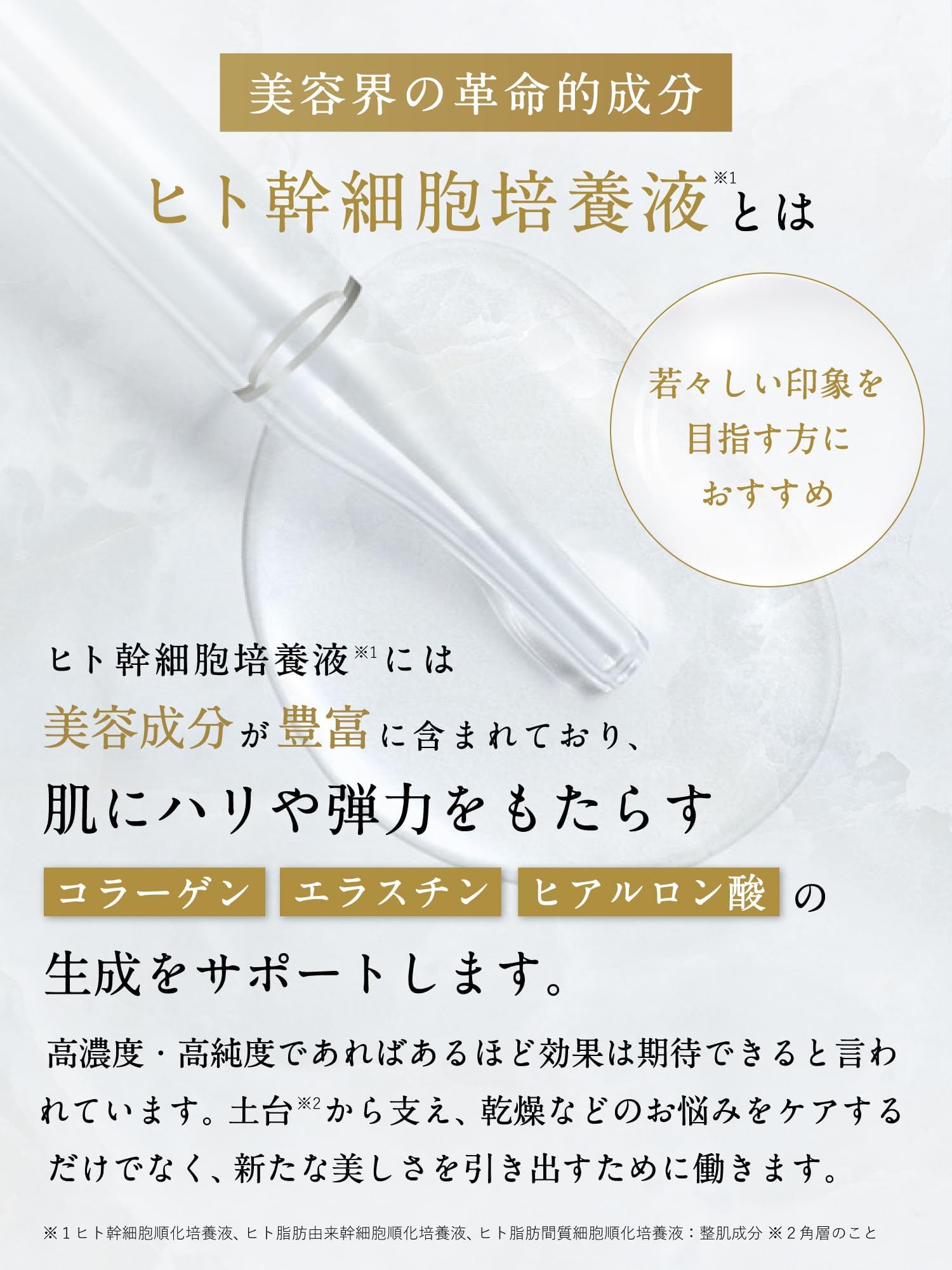 Amazon.co.jp: フラコラ ヒト幹細胞培養エキス 原液LP エイジングケア