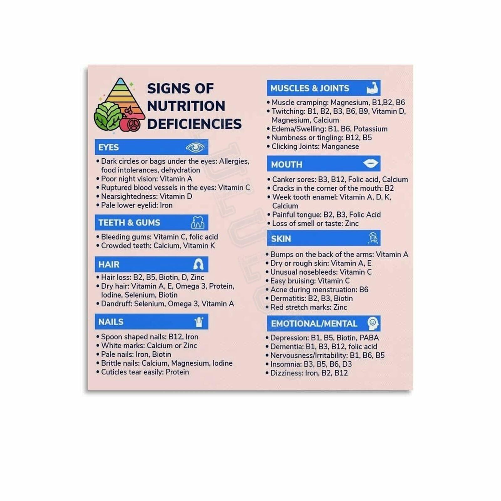 PKNVKZIDK Dietitian Office Decor Nutrition Facts Poster Vitamin Sources Chart Educational Wall-Art for Clinic Unframed,16x24inch(40x60cm)