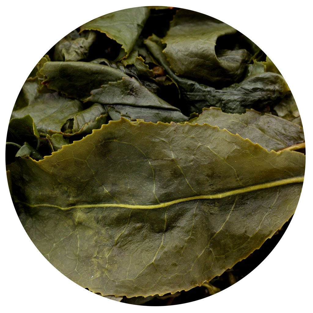 GOARTEA Taiwan Oolong Tea Loose Leaf Dong Ding Oolong Tea 2Pcs 250g / Total 17.6oz Supreme Taiwan Tea Tung Ting Green Oolong Tea Dongding High Mountain Oolong Tea