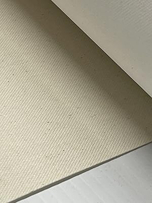 Professional Artist Painting Backdrop Canvas 17 inches width by 40 feet long (17