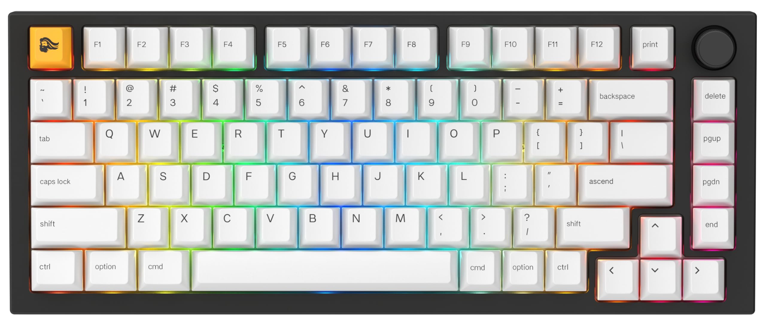 GLORIOUS Gaming GMMK PRO 75% - Tastiera da Gaming mecc.a modulare, TKL, Struttura da 1,5 kg, Personalizzabile, Cavo a Spirale, poggiapolsi, Tasti in PBT Bianchi, RGB, layout QWERTY Americano - Nero