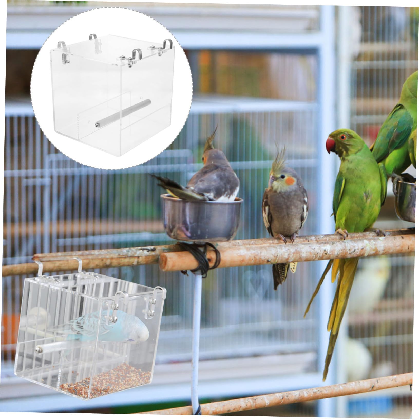 Mangeoire à Oiseaux Automatique pour Perroquet en Plastique