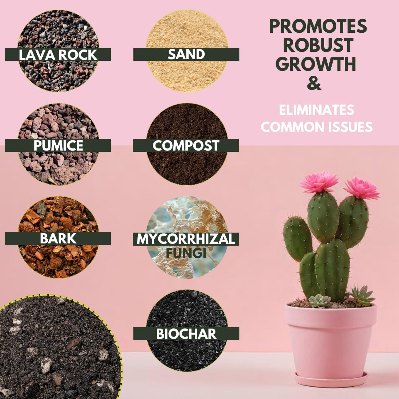 The Soil Sage 5 Dry Qt Cactus & Succulent Potting Soil Mix, USA Made - Gritty, Fast Draining, Soilless, Root Boosting, Peat-Free - Growth of Cactus, Succulents, Jade, Aloe Vera (5 Qt)