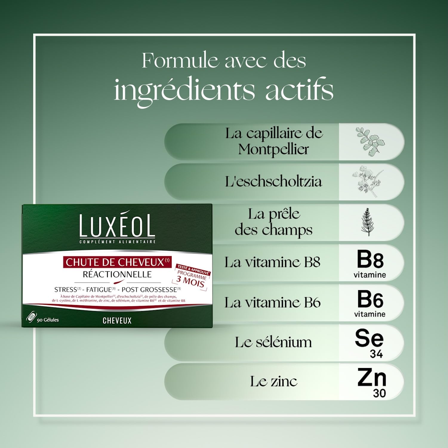 LUXEOL - Chute Réactionnelle (Stress, Fatigue, Post-Partum), -44%(1) De Chute De Cheveux - Complément Alimentaire Chute Cheveux Réactionnelle (3 Mois, 90 Gélules) + Shampooing Antichute 200 ml
