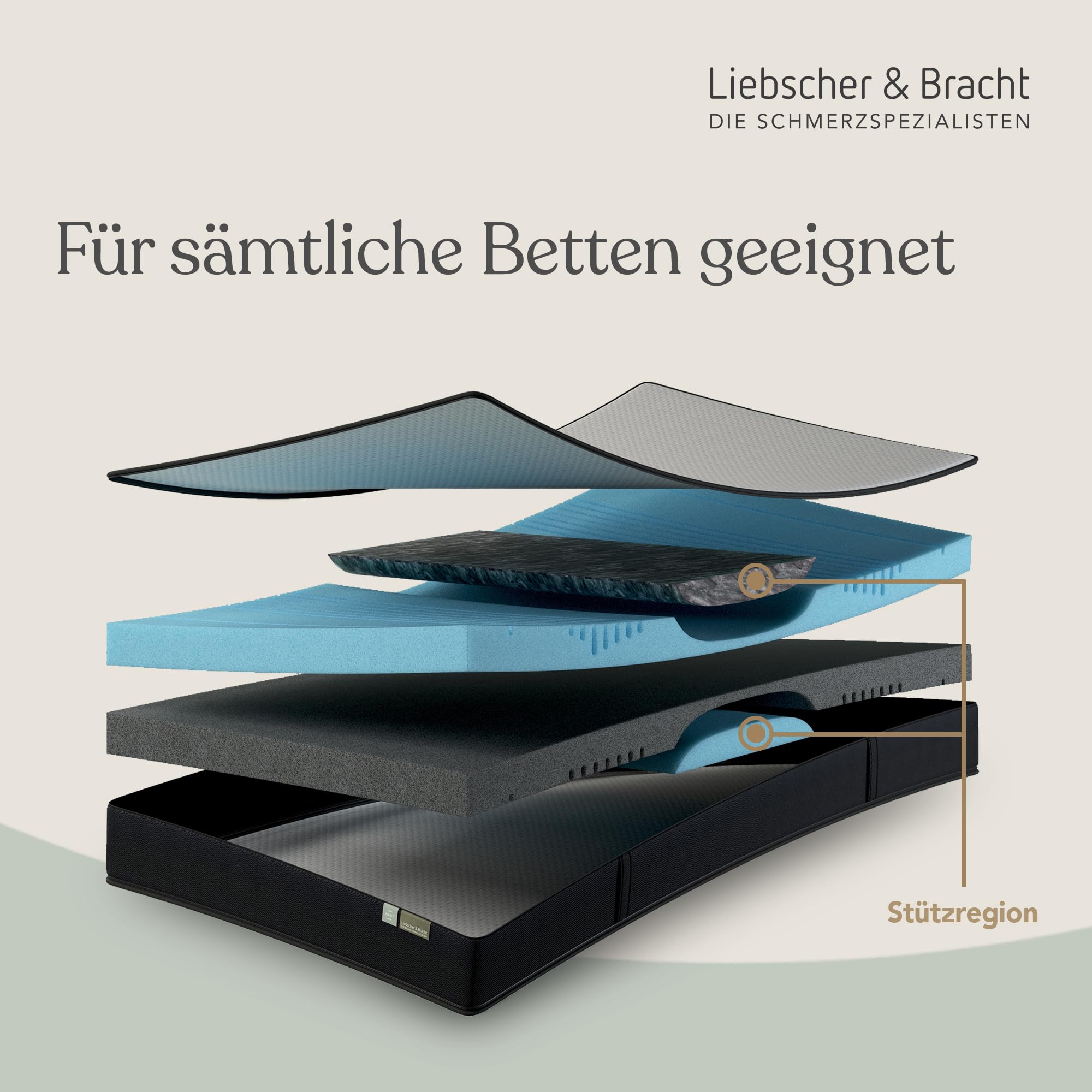 Liebscher & Bracht - Matratze 90x200 cm wendbar mit Stützregion für Wirbelsäule & Hüftgelenke - Komfortable 7-Zonen Kaltschaummatratze - Perfekte Druckentlastung & Passive Muskeldehnung im Schlaf