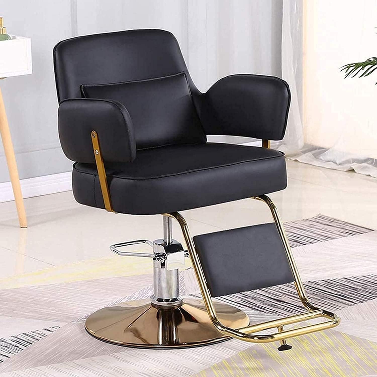 Salon Chair Hydraulic Chair for Business or Home, Beauty