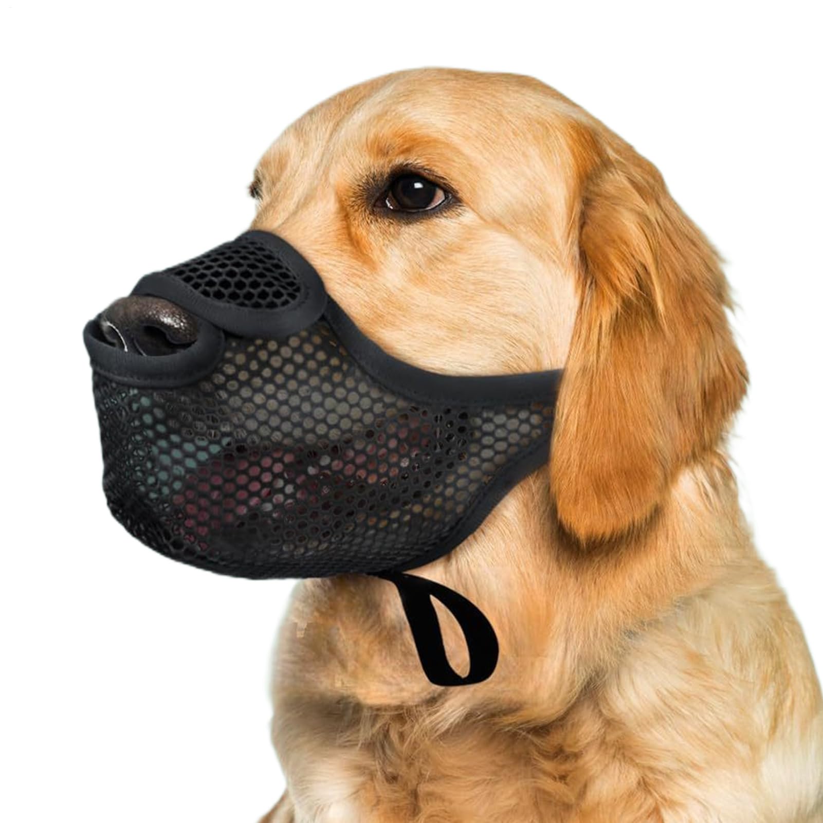 No Bark Muzzle for Dogs - Anti Biting Adjustable Secure Guard,Mouth Guard Pets Muzzle Anti Licking,for Adults Lovers Family Friends Animal Lovers