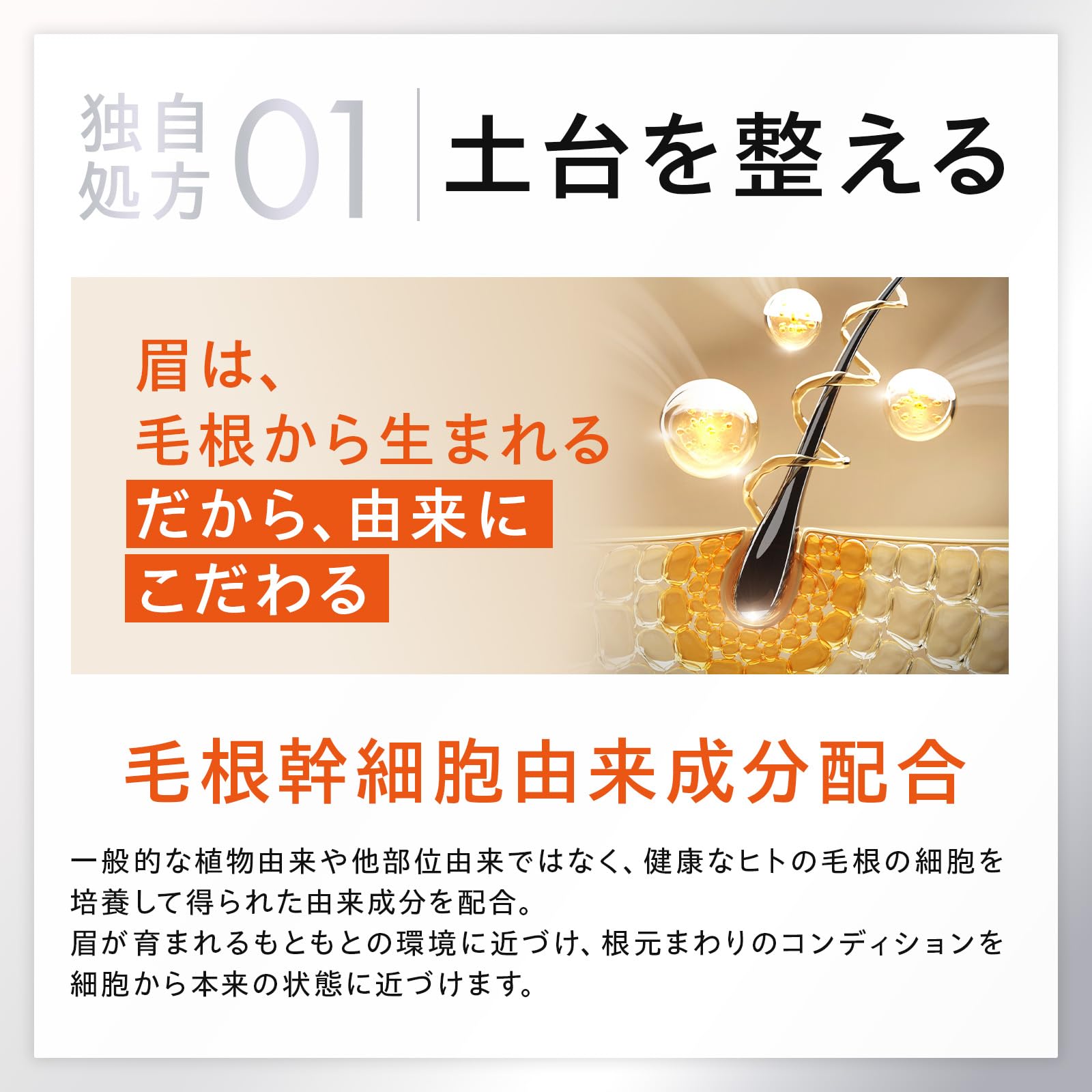 Dr Brow Plus +　まゆ毛　美容液 Amazon.co.jp: ドクターブロープラス 眉毛美容液 まゆげ美容液 ヒト
