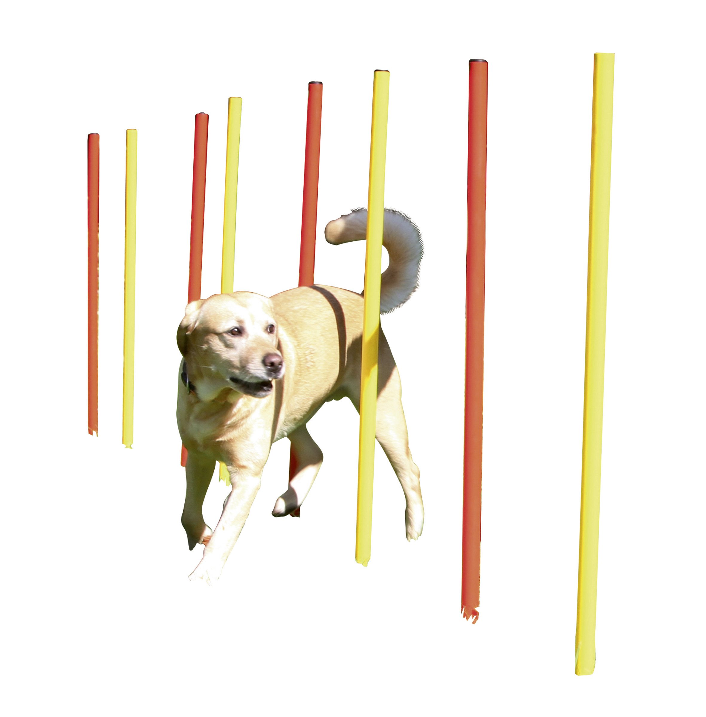 KERBL PET Agilidad Juego Completo 3 Piezas, Rojo/Amarillo