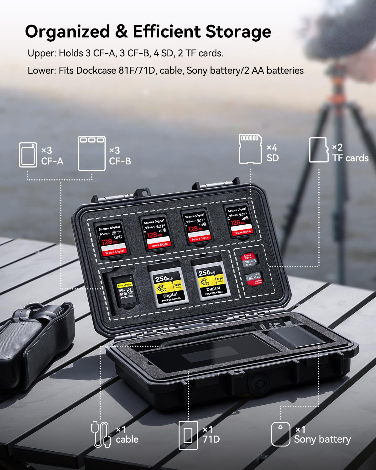 DOCKCASE Memory Card Case