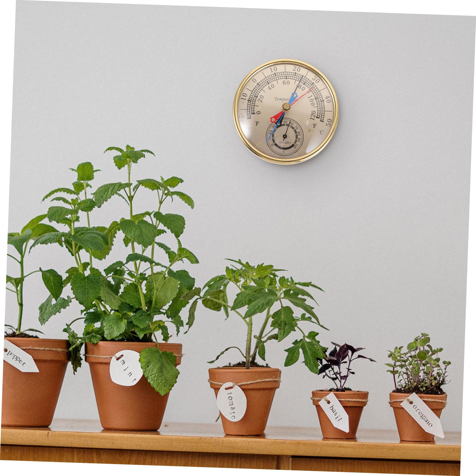 Igrometro Digitale Termometro Massimo per Giardino