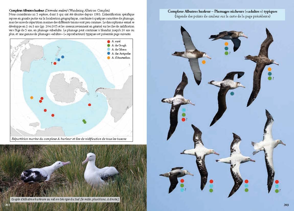 Guide photo des oiseaux marins du monde: Identifier toutes les espèces pélagiques