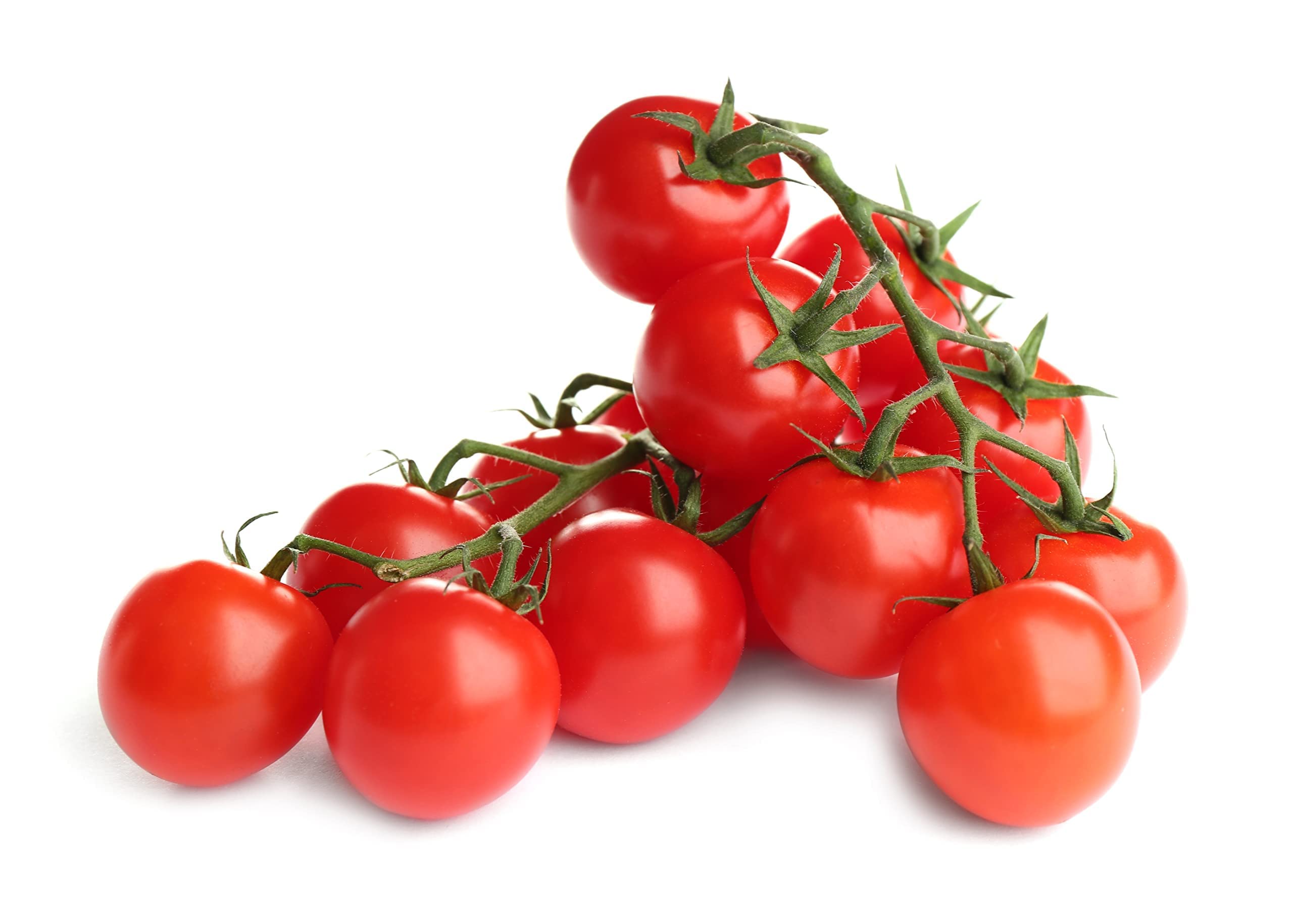 Tomato Plants, 'Gardener's Delight', 4 x Full Plug Plant Pack, Tomato Plants Ready to Plant Now, Tomatoes, Cherry Tomatoes, Garden Ready, Premium Quality Vegatables