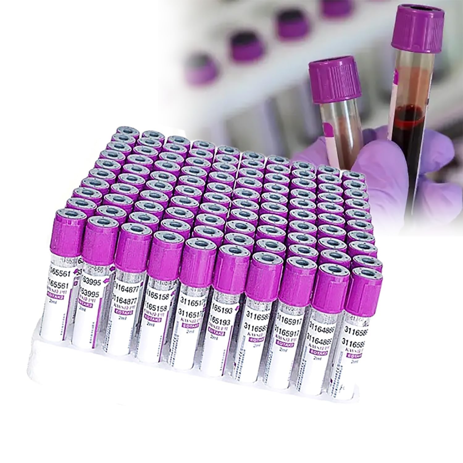 próżniowe probówki do pobierania krwi EDTA K2 5 ml szklane rurki fioletowa zakrętka dla zwierząt domowych artykuły laboratoryjne weterynaryjne 100 szt