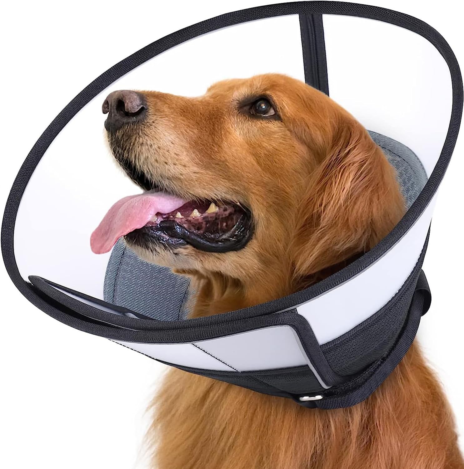 Dog Cone Collar for Dogs After Surgery, Soft Dog Recovery