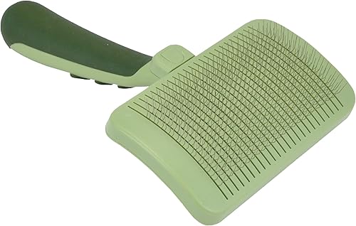 Photo Brosse à Picots Acier — Démêlage & Lustrage