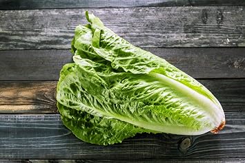 Seeds Romaine Lettuce for Salad Caesar Paris White Indoor Giant Heirloom Vegetable Non GMO