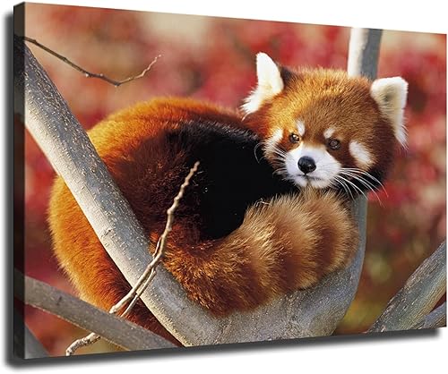 Póster impreso con diseño de panda rojo bebé, diseño de animales salvajes, arte de pared, dormitorio, oficina, sala de estar, decoración de regalo