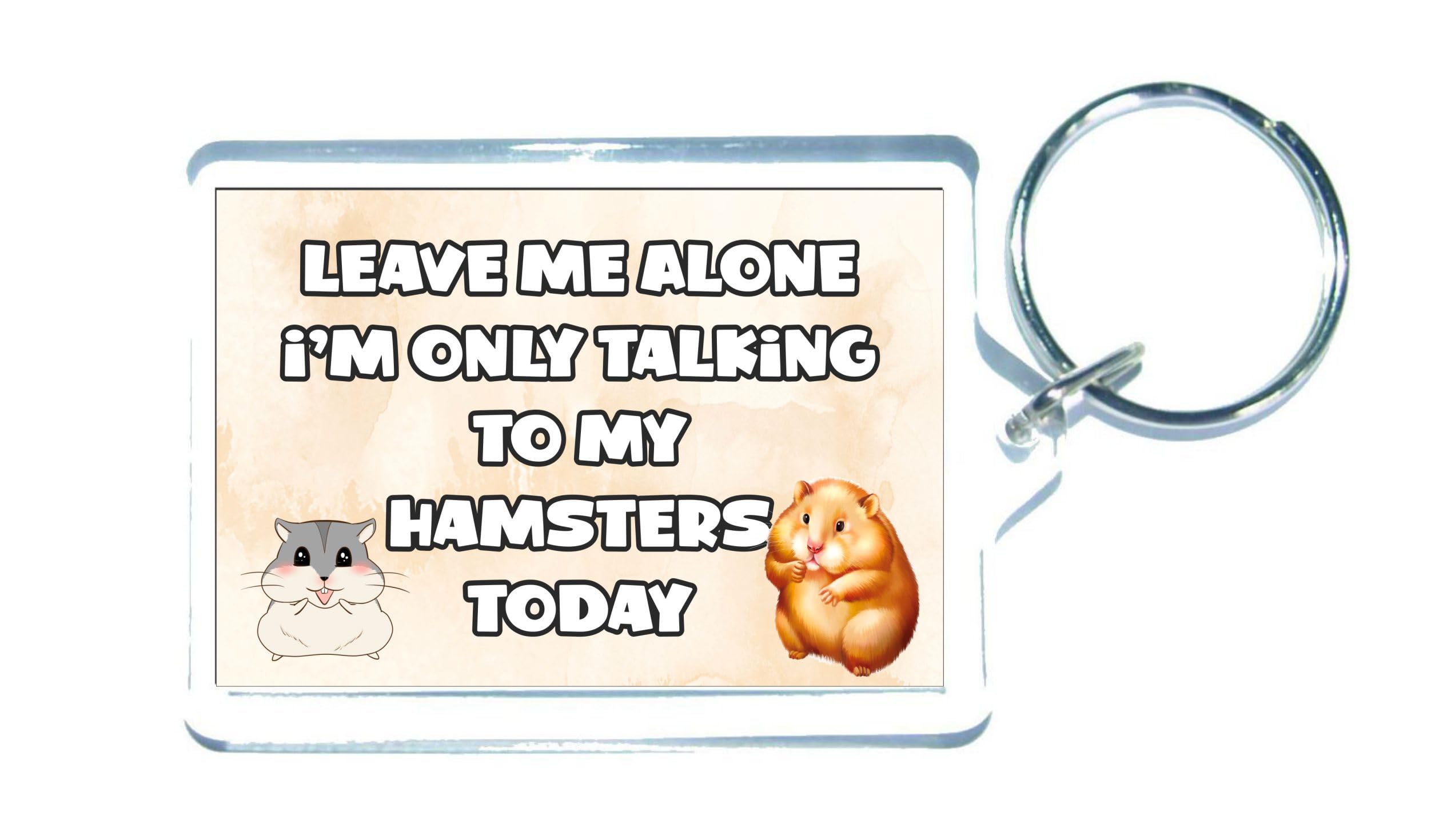 Decalarama Hamster Keyring Gift – Leave Me Alone I'm Only Talking To My * Today - Fun Cute Novelty Present