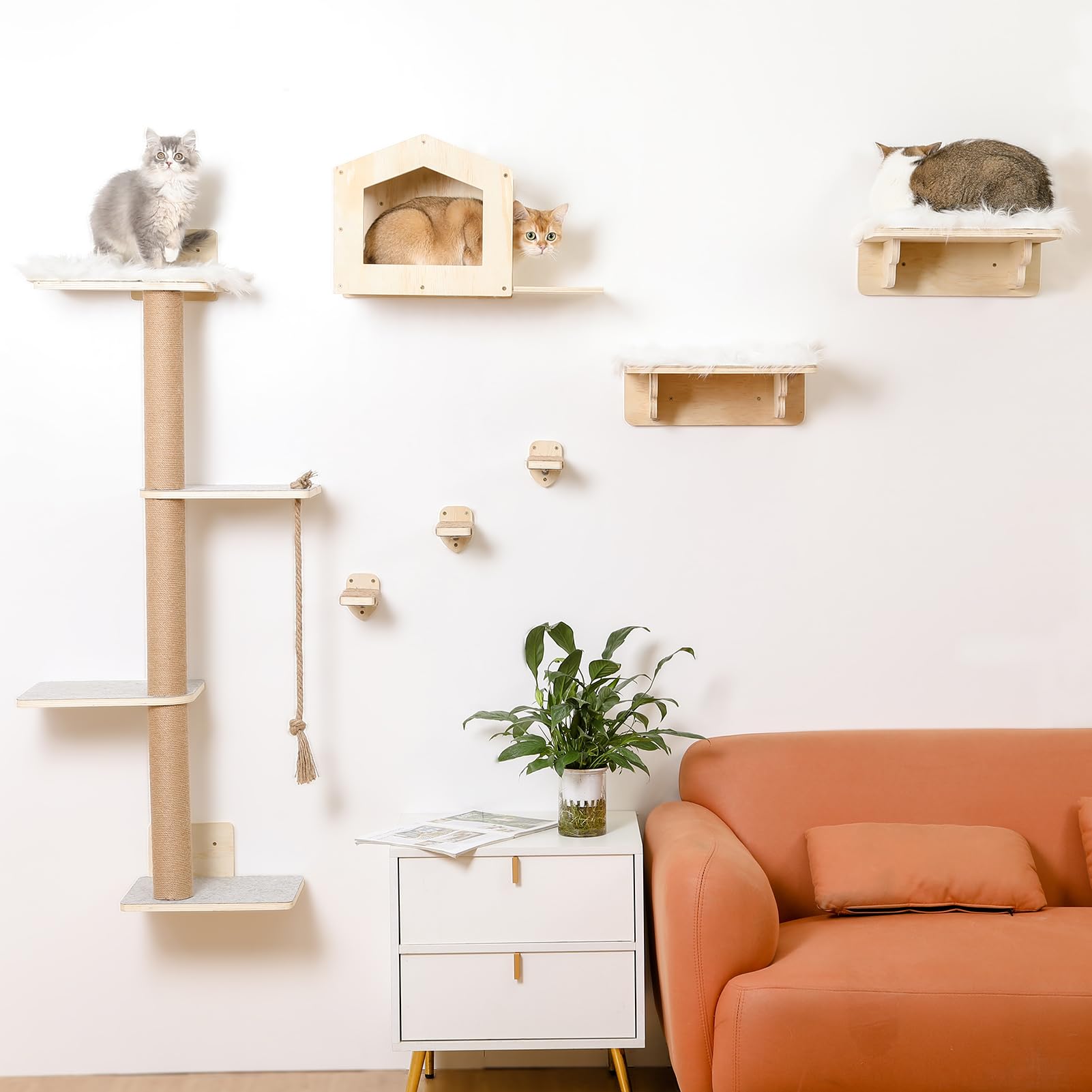 Katzen-Wandregale, Holz, Wandmontage, Katzenmöbel mit 4 Ebenen, 1 Katzenwandhaus, 2 Katzen-Sitzstangen und 3 Wandstufen, Kletterkatzenregale für Wand, große Katzen