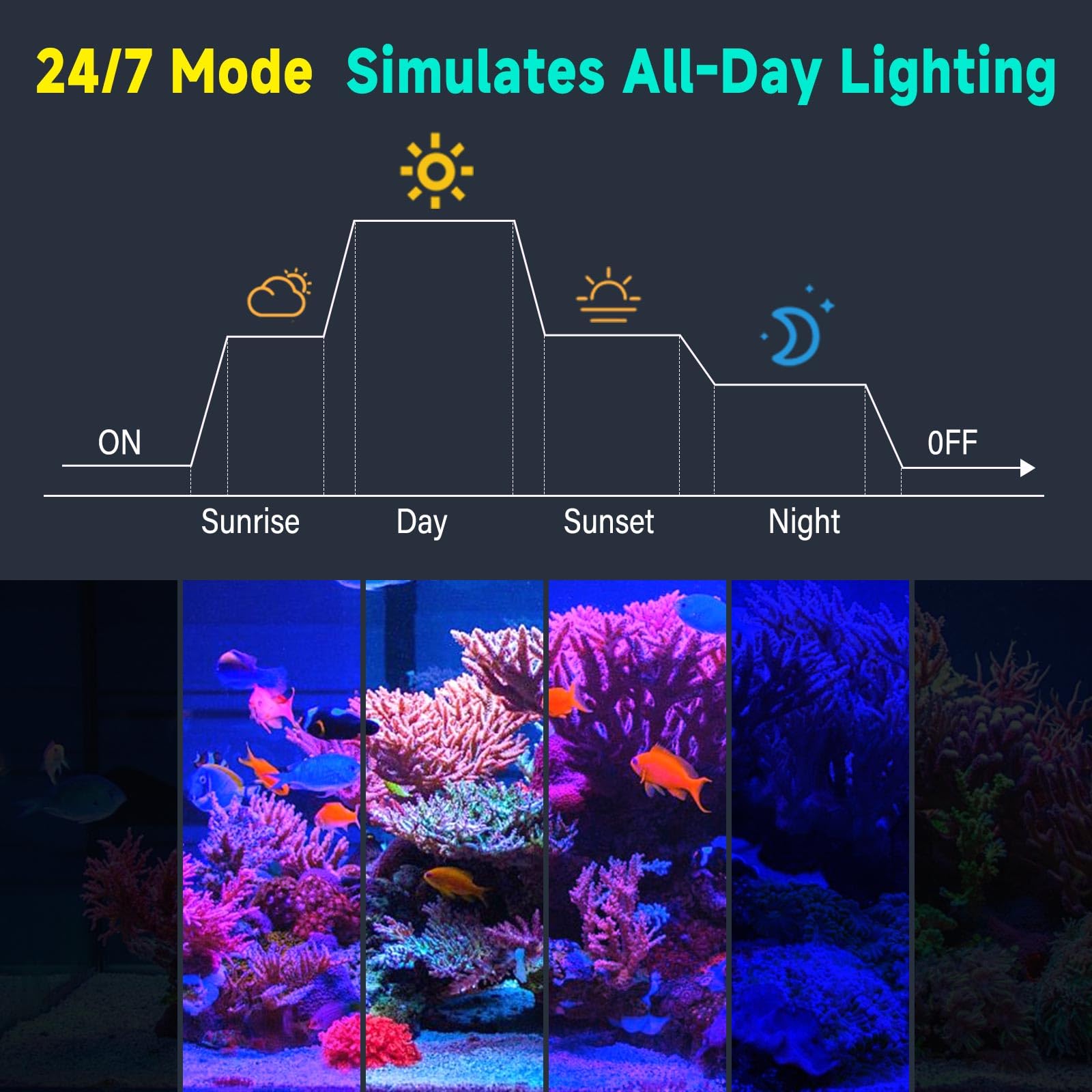 Clip On 24/7 Salzwasser-Aquarium-Licht, kleines Aquarium-Licht mit 3 DIY-Farben, 10 Helligkeitsstufen und 3 Timer-Einstellungen, flexible Aquarium-Lichter geeignet für Salzwasser