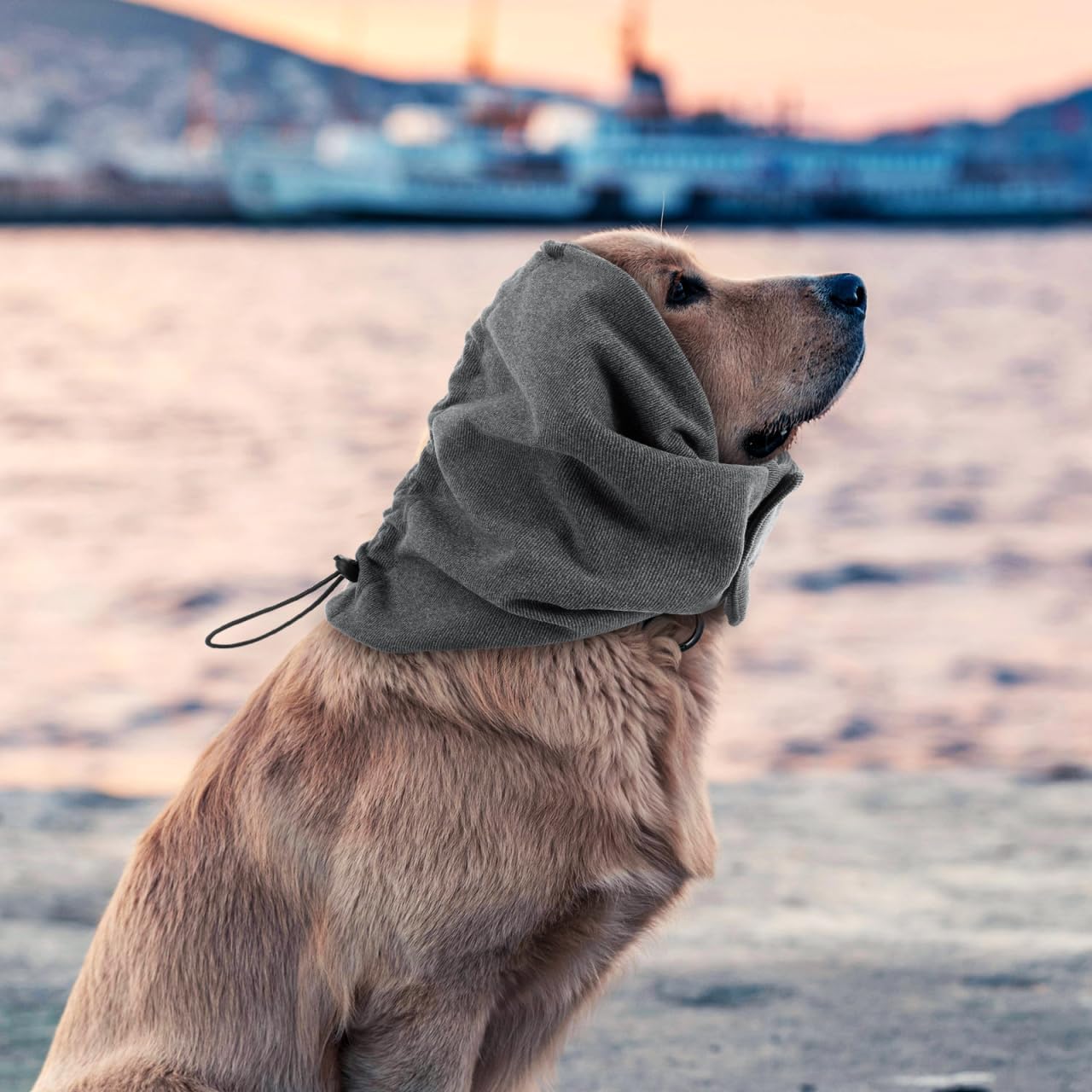 BESPORTBLE 犬用イヤーカバー 調節可能 ソフトハット 犬用落ち着きのあるフード イヤーウォーマー 寒い天候でも快適 深い